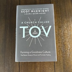 A Church Called Tov: Forming a Goodness Culture that Resists Abuses of Po – GOOD