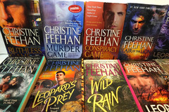 Christine Feehan (Paranormal Romance) paperback book lot (17 books)