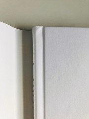 View from the East Wing: A Memoir SIGNED by Jill Biden 1st/1st (2026, Hardcover)