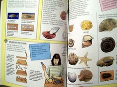 Be Your Own Rock and Mineral Expert by Michele Pinet (1997, Hardcover)