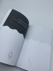 The Shadow Work Journal A Guide to Integrate and Transcend your Shadows Book