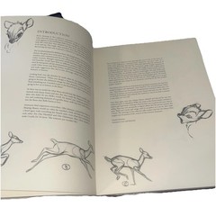 A Disney Sketchbook (Disney Editions Deluxe) Animation Book Ken Shue Hardcover