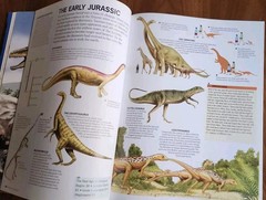 Dinosaurs Through Time by Rupert Matthews Hard Back Book