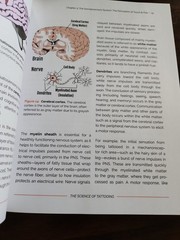The Science of Tattooing by Warmflash, David, Used VG Condition