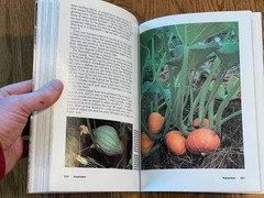 „The New Victory Garden” VTG Book by Bob Thomson, 1st Edition, 1987, 294 Pages