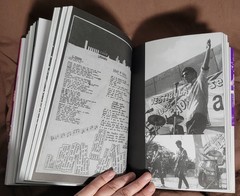 Renato Russo: O Filho da Revoluçao – Carlos Marcelo – Brazilian musician