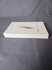 Theo of Golden Allen Levi Paperback Novel National Bestseller Literary Fiction