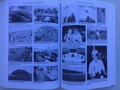 Pain & Purpose In the Pacific: True Reports Of War Richard Carl Bright Iwo Jima