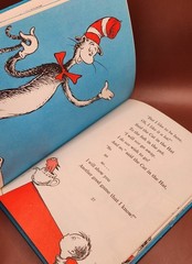 Vintage 1957 Dr. Seuss The Cat in the Hat Beginner Books Hardcover VG Clean