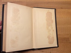 The Alhambra, Washington Irving, 1889 Hardcover, Some Markings