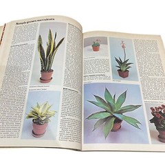 Vintage Indoor Gardener The Complete Book 1974 Ed by Michael Wright 256 Pages