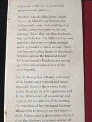 Easter Widows by Sinead McCoole, SIGNED COPY (2014 Hardcover) Irish History