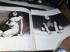 Playboy: the Celebrities by Hugh Hefner (2006, Hardcover) MISSING PAGES ⚠️