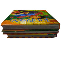 Houghton Mifflin Leveled Reading Levels 1.1 and 1.3 Journeys 2.1 Hardcover Texts