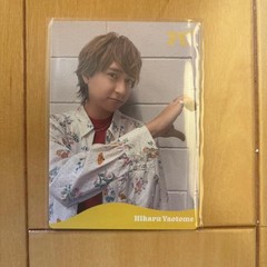 Hey! Say! JUMP Yaotome Hikari Card Album Bonus Water-Resistant Sleeve