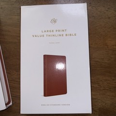 ESV Large Print Value Thinline Bible (Trutone, Camel) by Esv Bibles: New