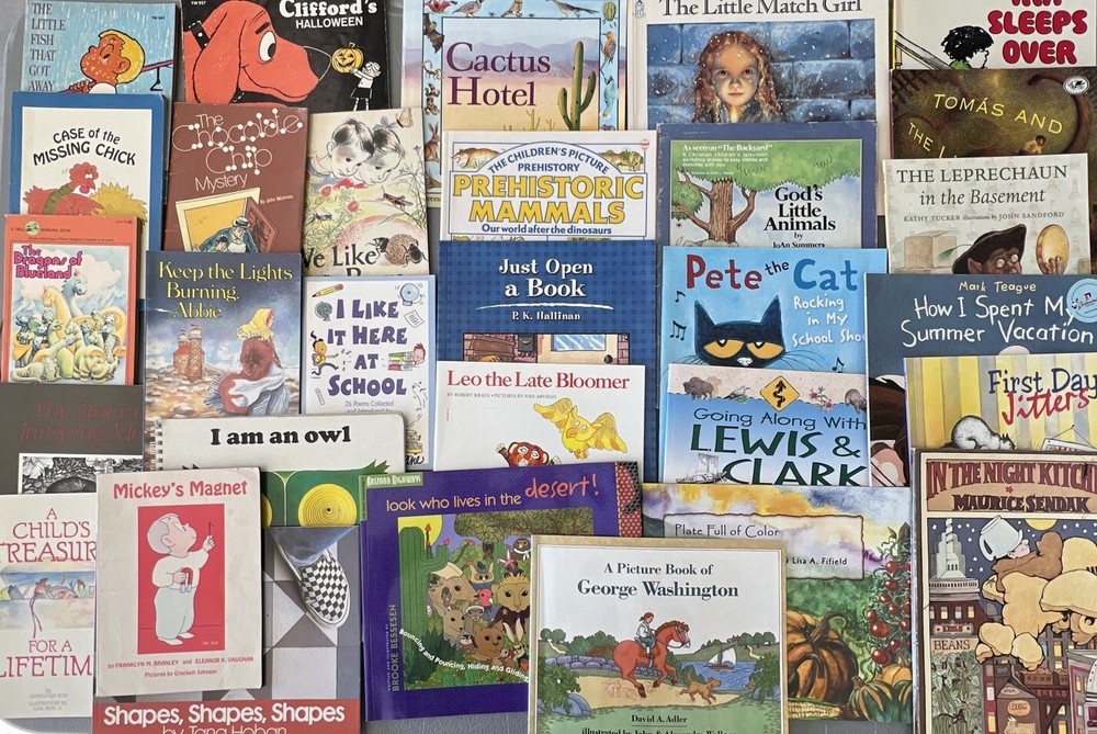 Mixed Lot of 30 Children’s Books Age 5-7 Paperback