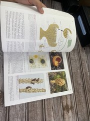 ISE Stern’s Introductory Plant Biology ISE HED BOTANY, ZOOLOGY, ECOLOGY 15e