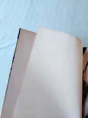 Emiri Henmi Photo Book OuiNon 8.3 x 12.2 in Japanese Photobook Rare