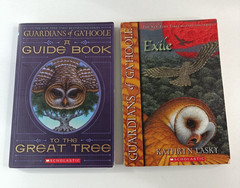 Guardians of Ga’Hoole Kathryn Lasky Bulk Lot 1 3 4 5 7 8 9 12 13 14 + Guide Book