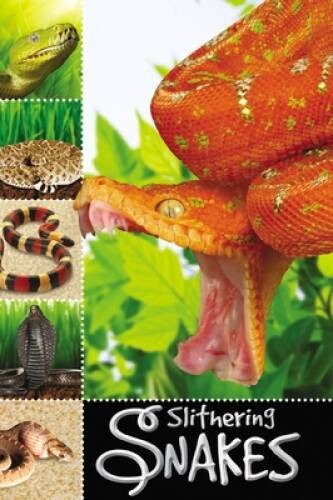Slithering Snakes (Ready To Read) – Paperback By Creese, Sarah – VERY GOOD