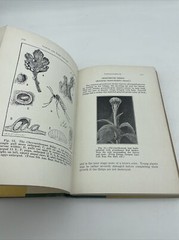 Insects And Their Control By Andrew Wilson 2nd Printing 1931 Horticulture Nature