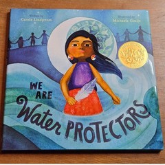 Roaring Brook Press We Are Water Protectors Children’s hardcover book