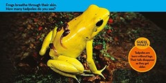 ABIS Multicolor Board Book Baby Animals and Moms National Geographic Inspired