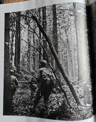The War: An Intimate History 1941-1945 by Geoffrey Ward/Ken Burns