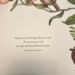 Beholding and Becoming Ruth Chou Simons Hardcover 2019 Religion Harvest House
