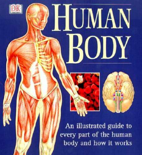 Human Body: An Illustrated Guide to Every Part of the Human Body an – ACCEPTABLE