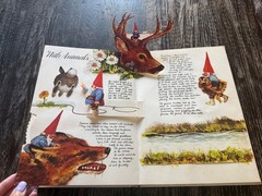 The Pop-Up Book of Gnomes illustrated by Rien Poortvliet