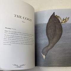 Ornithography: An Illustrated Guide to Bird Lore & Symbolism HC Excellent