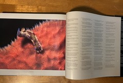 St. John U.S.V.I. Living Art Simonsen 2003 SIGNED Caribbean Photography 2nd Ed.