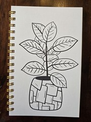 House Plants Coloring books for adults. A5 Size Coloring Book 8.5 in X 5.5 in.