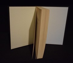 Witch & Wizard: the Gift by James Patterson ~ c 2010 ~ Pages 341 – Hardcover