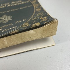 The Lost Book of Herbal Remedies by Davis & Apelian 2020 Paperback