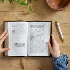 1611 KJV with Apocrypha, Brown Leathersoft: Holy Bible