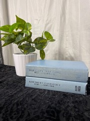 TWO VOLUMES (1 & 2) Economic History Of Virginia In The Seventeenth Century….