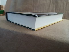 Lena Dunham: Famesick A Memoir USED HARDCOVER SEE DESCRIPTION