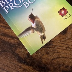 The NLT Bible Promise Book; Softcove- 1414369840, Ronald A Beers, paperback,
