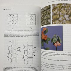 Botany for Gardeners 3rd Edition Brian Capon Paperback 2010
