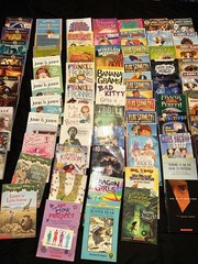 Bulk/Huge Lot of 108 of Children’s Kids Chapter Books -Large Assortment