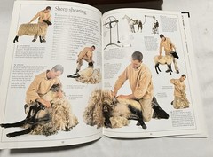 Eyewitness: Farm (Eyewitness Books) by Ned Halley