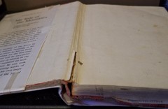 My Side of the Mountain – Hard Cover – School Library Copy – Newbery Honor 1969