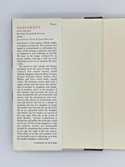 Snapshots 20th Century Mother-Daughter Fiction Vintage 2000 Book 241 pages-A3