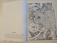 CAT COLORING – 32 Inspiring Designs for Adults -Relax & Enjoy -Escape & Breathe