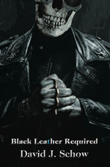 David J. Schow BLACK LEATHER REQUIRED – Tim Bradstreet art