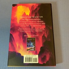 Lot 2 ~ Hardcover Books ~ MARIE LU ~ SKYHUNTER and STEELSTRIKER ~ Roaring Brook