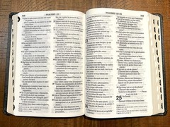 French Bible LARGE PRINT, Segond 1910 Bonded Leather Thumb Index, Red Letter